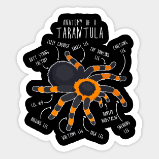 Tarantula Anatomy Sticker